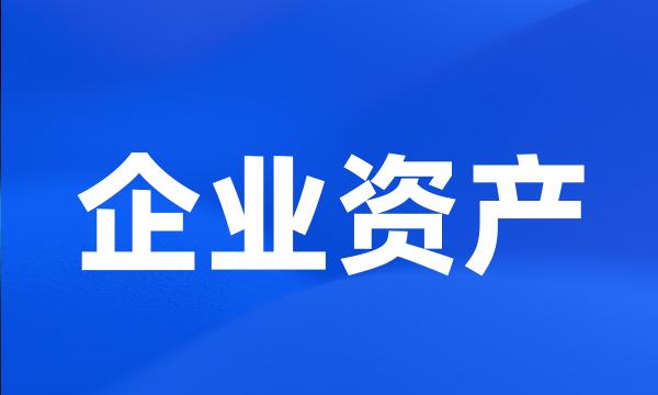 企业资产
