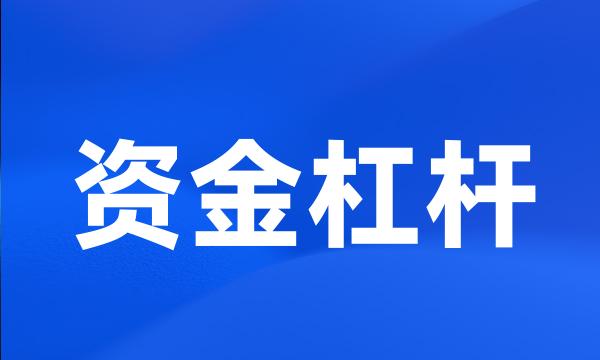 资金杠杆