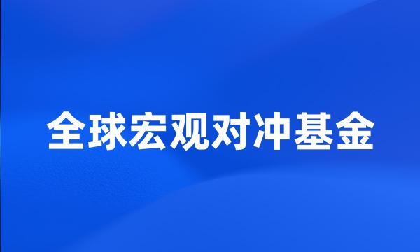 全球宏观对冲基金