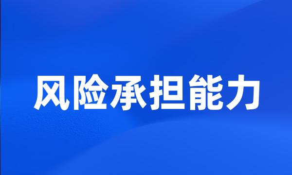 风险承担能力