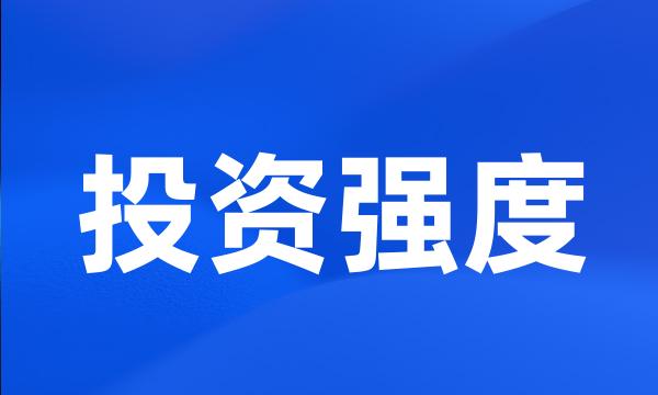 投资强度