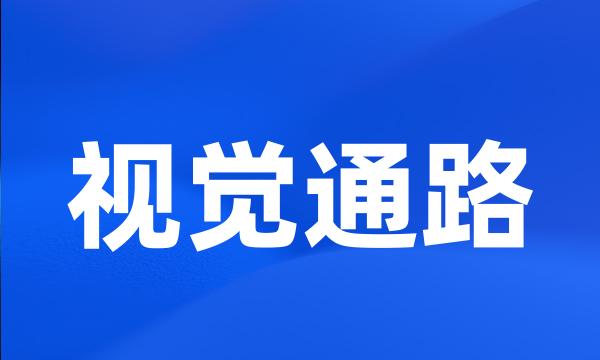 视觉通路