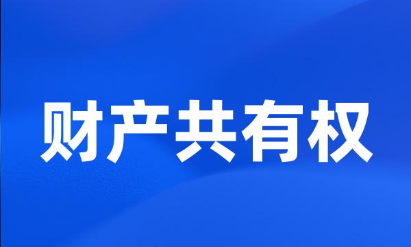 财产共有权