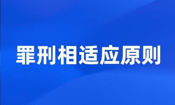罪刑相适应原则