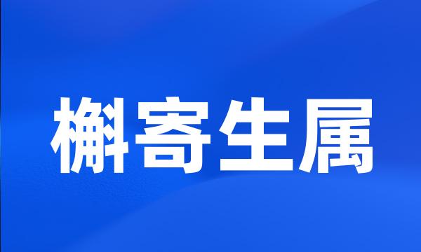槲寄生属