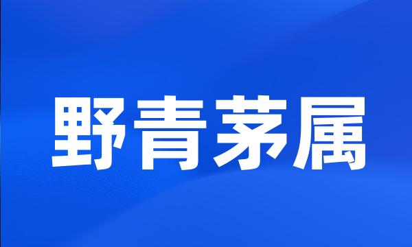 野青茅属