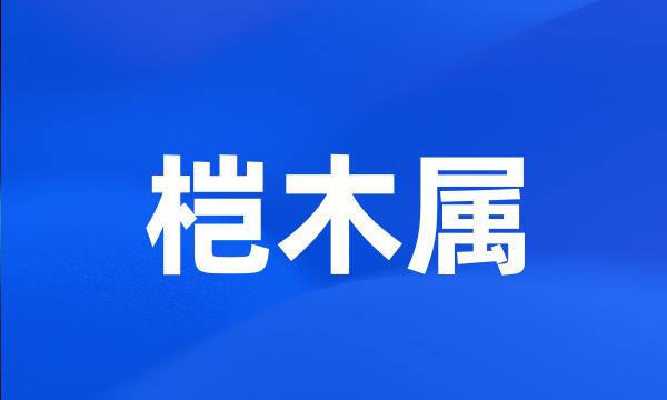 桤木属