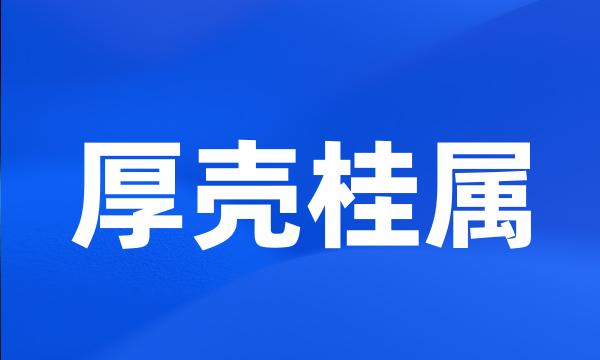 厚壳桂属