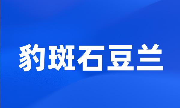 豹斑石豆兰