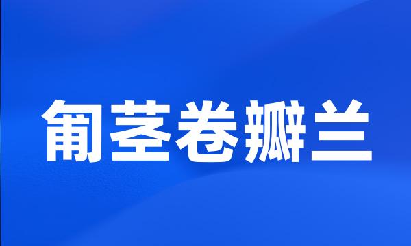 匍茎卷瓣兰