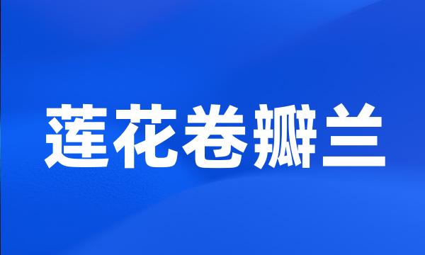 莲花卷瓣兰