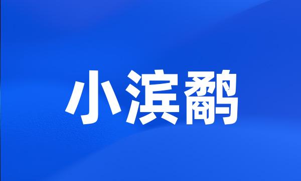 小滨鹬