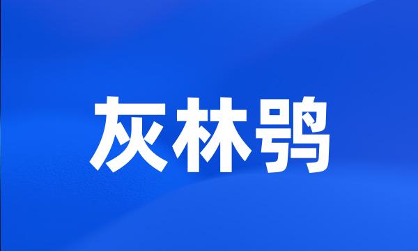 灰林鸮