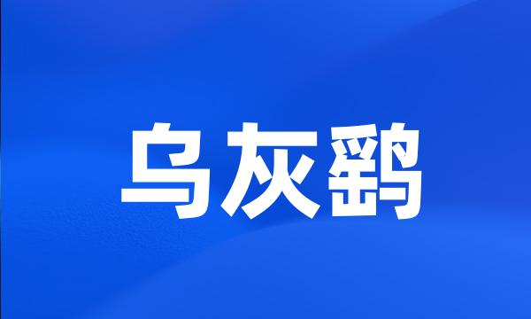 乌灰鹞