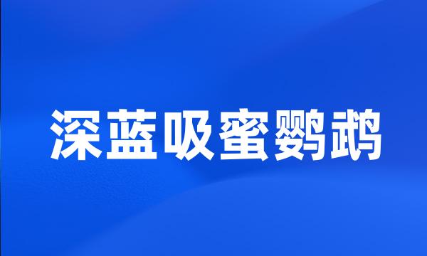 深蓝吸蜜鹦鹉