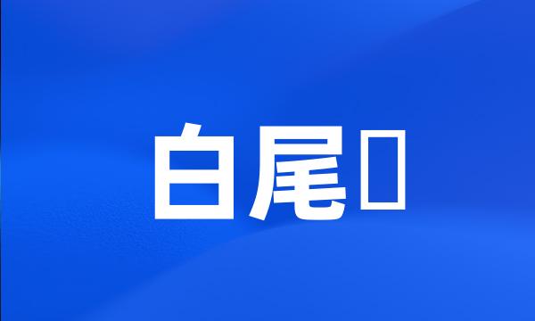 白尾鸏