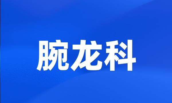 腕龙科