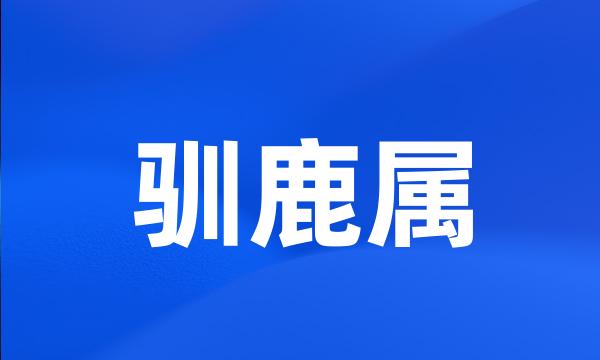 驯鹿属