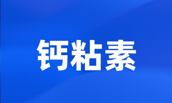 钙粘素