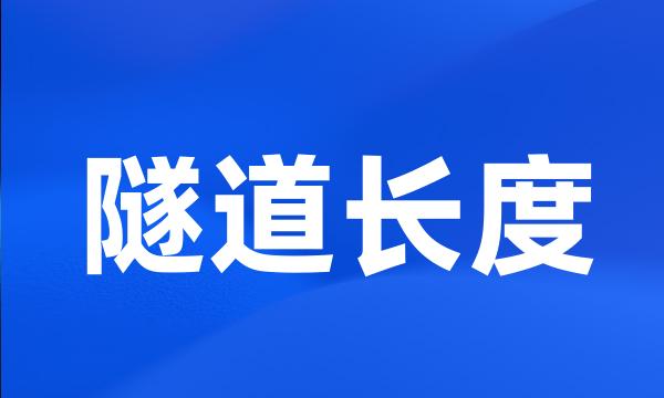 隧道长度