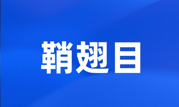 鞘翅目