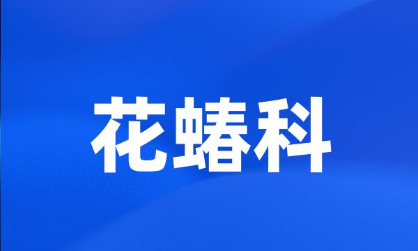 花蝽科