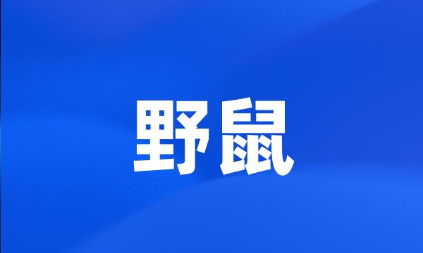 野鼠
