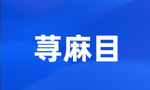 荨麻目