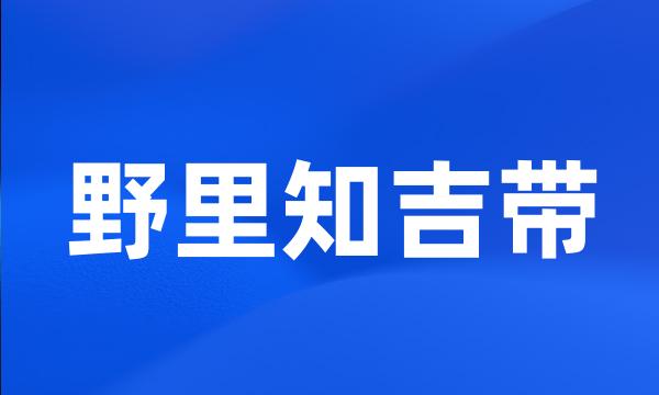 野里知吉带
