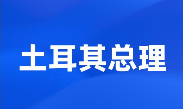 土耳其总理