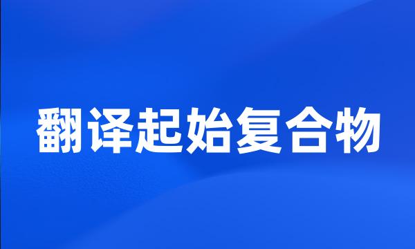 翻译起始复合物