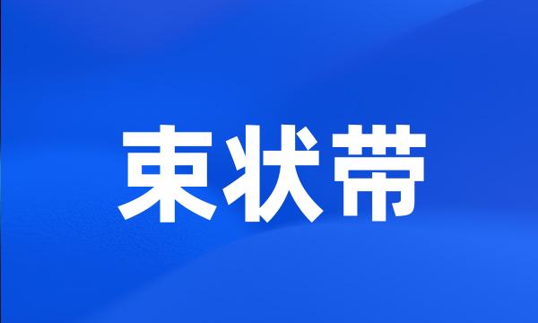 束状带