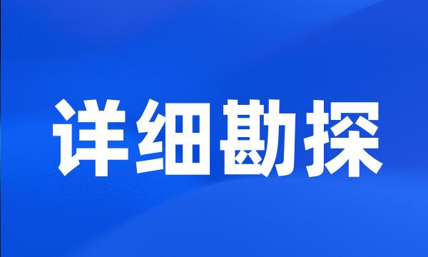 详细勘探