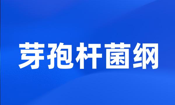 芽孢杆菌纲