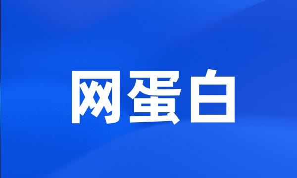 网蛋白