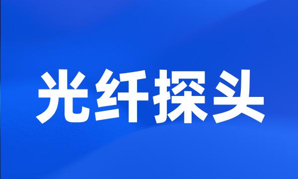 光纤探头
