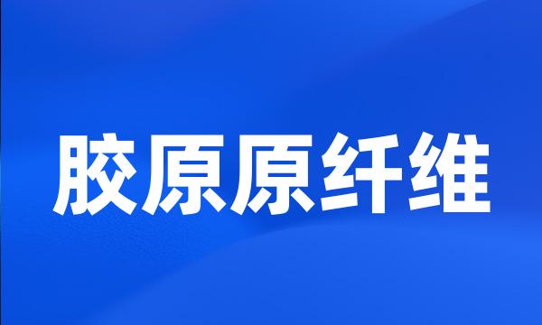 胶原原纤维