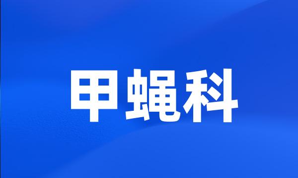 甲蝇科