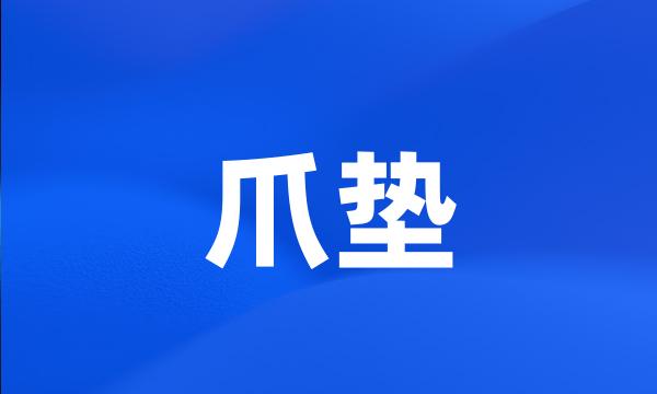 爪垫