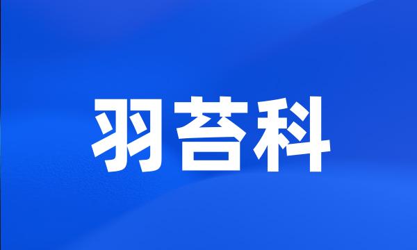 羽苔科