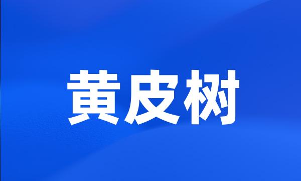 黄皮树