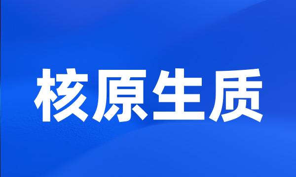 核原生质