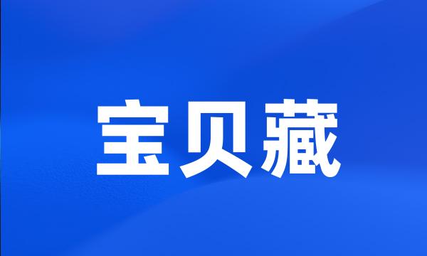 宝贝藏