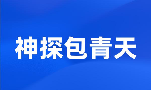 神探包青天