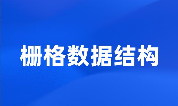 栅格数据结构