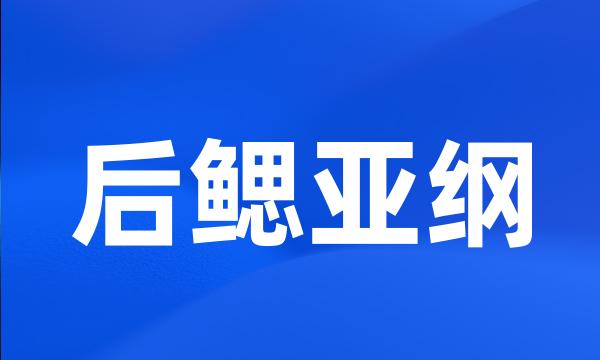 后鳃亚纲