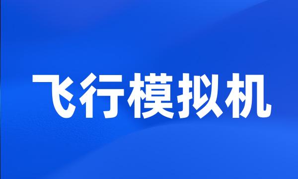 飞行模拟机