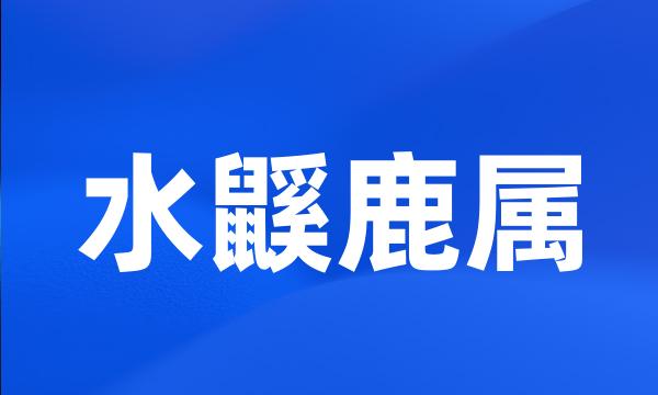 水鼷鹿属
