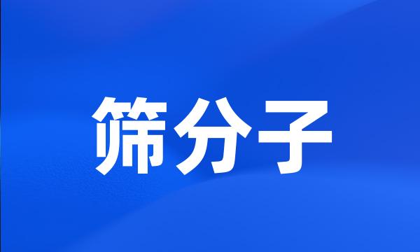 筛分子