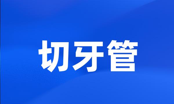 切牙管